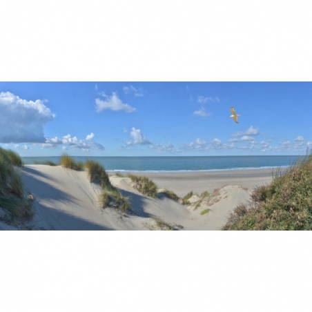 Fotobehang duinen en strand in Zeeland. De mooiste natuur wallpapers uit onze topcollectie Nederlandse landschappen