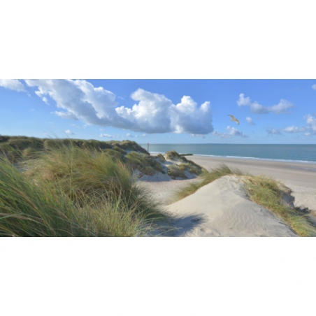 Fotobehang duinen en strand in Zeeland. De mooiste natuur wallpapers uit onze topcollectie Nederlandse landschappen