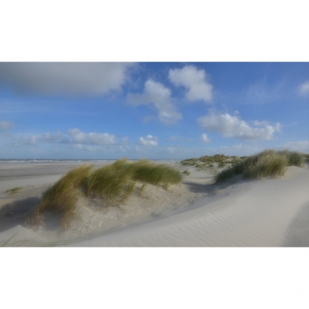 Fotobehang duinen Schiermonnikoog. De mooiste natuur wallpapers uit onze topcollectie Nederlandse landschappen