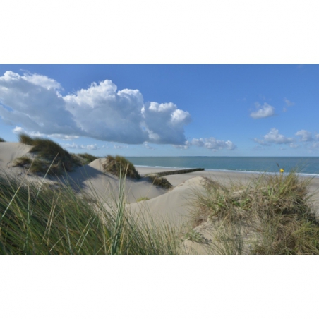 Fotobehang duinen en strand Burgh Haamstede. De mooiste natuur wallpapers uit onze topcollectie Nederlandse landschappen