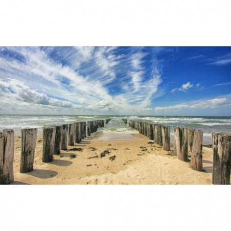 Fotobehang strandpalen. De mooiste natuur wallpapers uit onze topcollectie Nederlandse landschappen