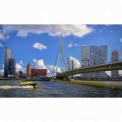 Huisdieren klif niemand Fotobehang natuur - Rotterdam Skyline en Erasmusbrug