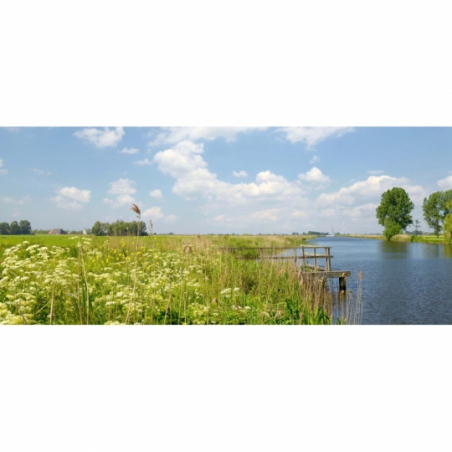 Fotobehang Weiland en water in Friesland.  De mooiste natuur wallpapers uit onze topcollectie Nederlandse landschappen
