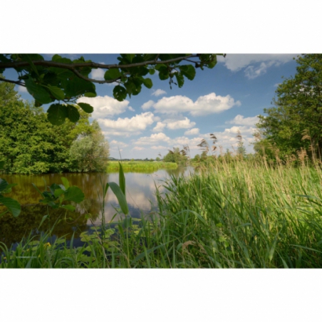 Fotobehang riviertje de Mije. De mooiste natuur wallpapers uit onze topcollectie Nederlandse landschappen