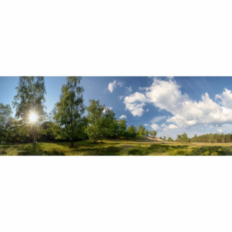 Fotobehang Heide op de Veluwe. De mooiste natuur wallpapers uit onze topcollectie Nederlandse landschappen