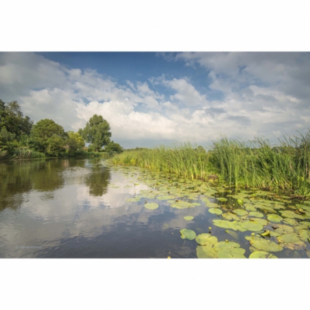 Fotobehang riviertje de Giessen. De mooiste natuur wallpapers uit onze topcollectie Nederlandse landschappen 