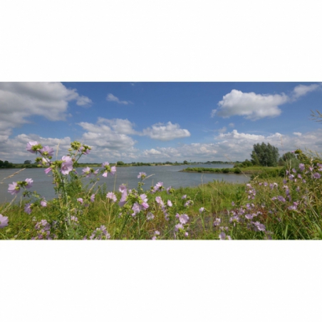 Fotobehang rivier de lek. De mooiste natuur wallpapers uit onze topcollectie Nederlandse landschappen 