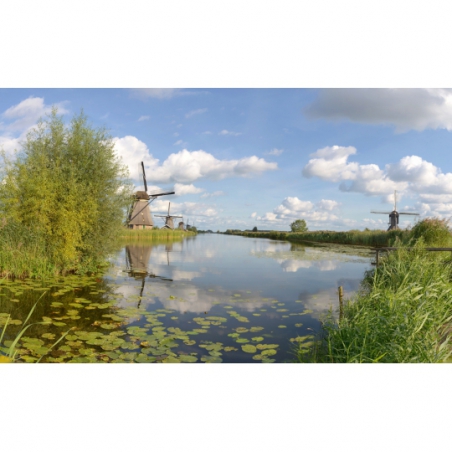 Fotobehang Molens Kinderdijk. De mooiste natuur wallpapers uit onze topcollectie Nederlandse landschappen 450x260 cm
