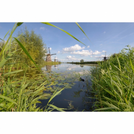 Fotobehang Molens Kinderdijk. De mooiste natuur wallpapers uit onze topcollectie Nederlandse landschappen