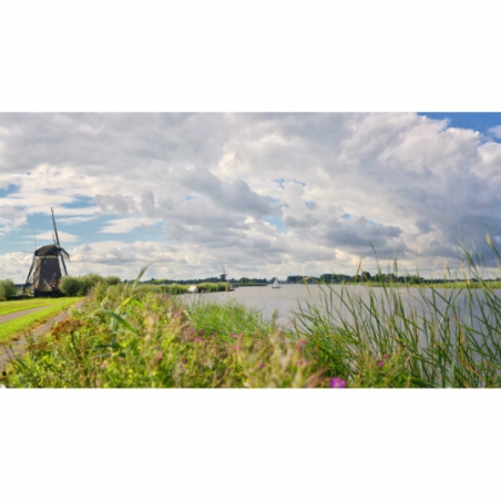 Fotobehang Molens langs de Rotte. De mooiste natuur wallpapers uit onze topcollectie Nederlandse landschappen