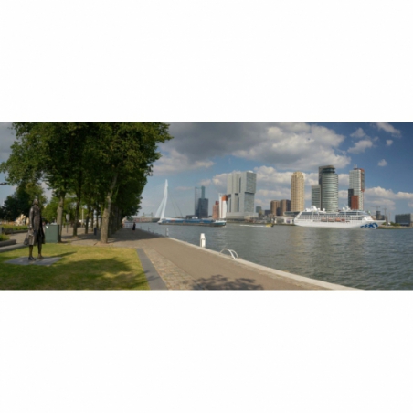 Fotobehang Rotterdam skyline kop van zuid. De mooiste natuur wallpapers uit onze topcollectie Nederlandse landschappen