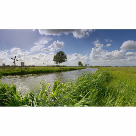 Fotobehang riviertje de LingeDe mooiste natuur wallpapers uit onze topcollectie Nederlandse landschappen