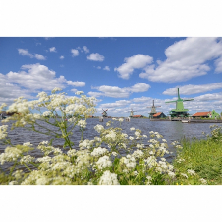 Fotobehang Zaanse Schans. De mooiste natuur wallpapers uit onze topcollectie Nederlandse landschappen