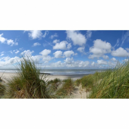 Fotobehang duinen van Ameland. De mooiste natuur wallpapers van duinen uit onze topcollectie Nederlandse landschappen