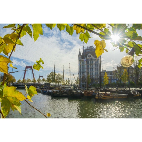 Fotobehang Rotterdam oude haven met het Hoge Huis en Willemsbrug