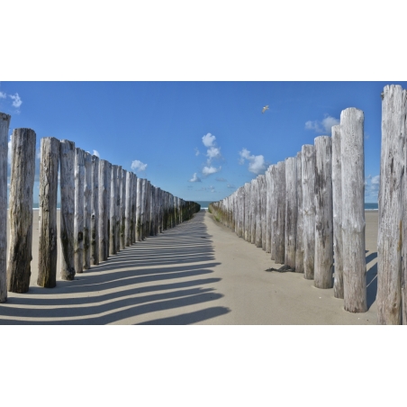 fotobehang strandpalen langs de Nederlandse kust