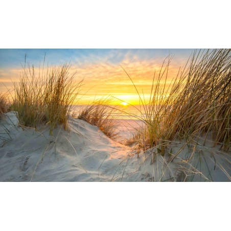 Zonsondergang duinen  en zee in Ameland. De mooiste natuur fotobehang uit onze collectie Nederlandse Landschappen